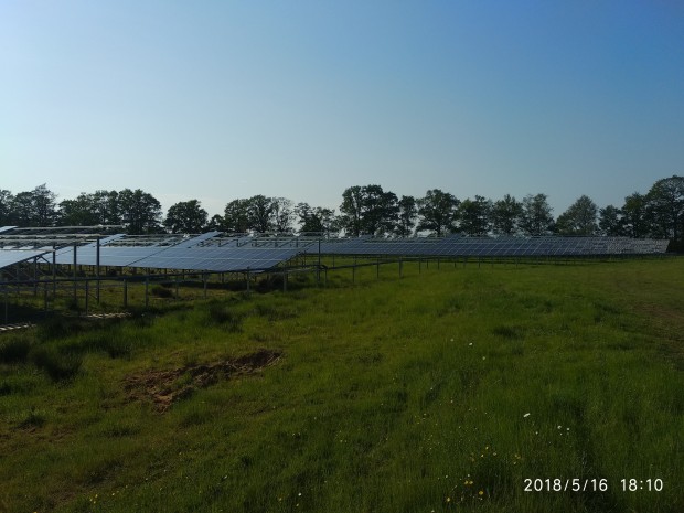 Farma słoneczna w Holandii